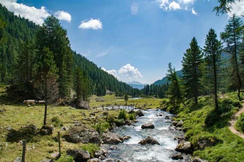 Policy Brief: Finanzierung der Umsetzung der Verordnung über die Wiederherstellung der Natur